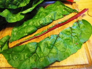 ???????????????????????????????